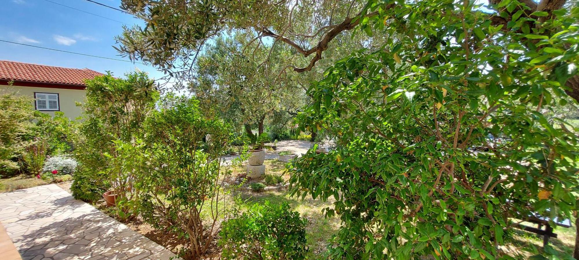 Apartments Marijana Ραμπ Δωμάτιο φωτογραφία